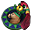 71255